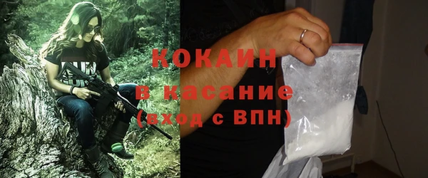 твердый Осташков