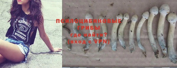 твердый Осташков