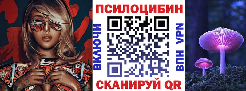 Галлюциногенные грибы Psilocybe  Купить где  Камышин 